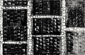 Rivoluzione_Umana1-80x120_297